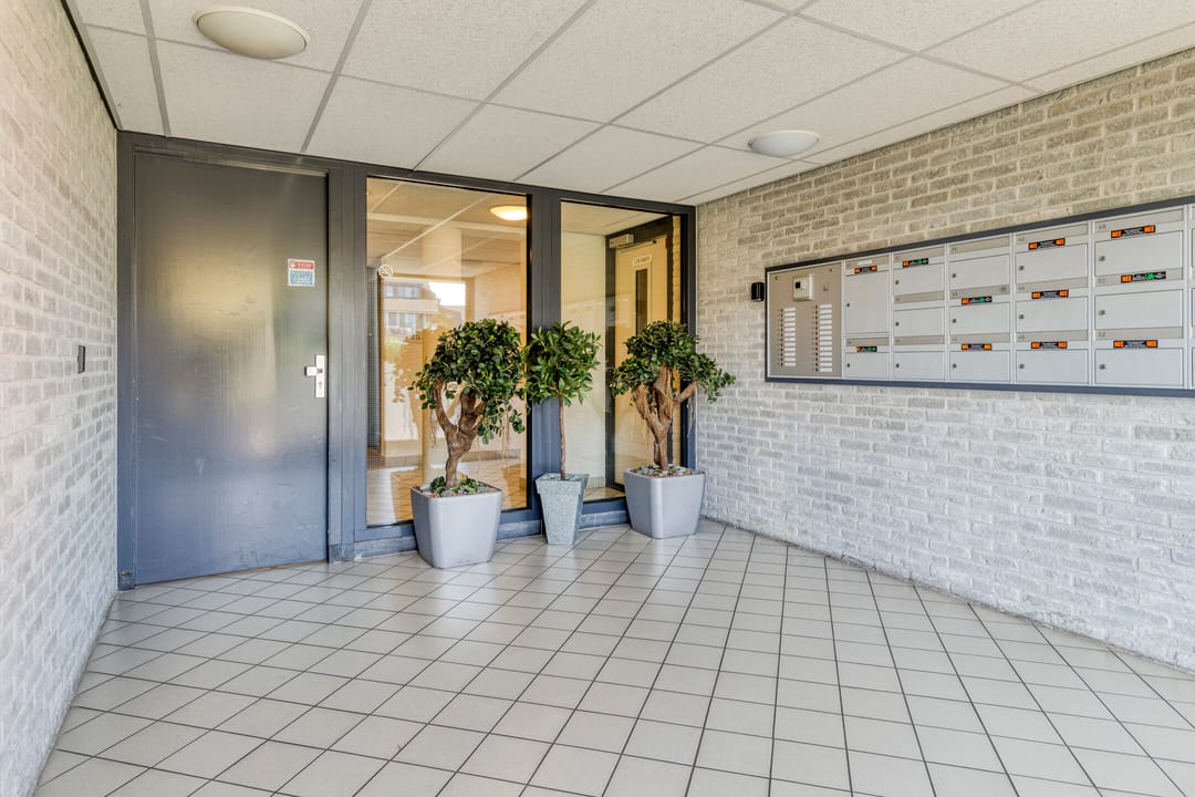 Photo 22 of Alexandriëstraat 46