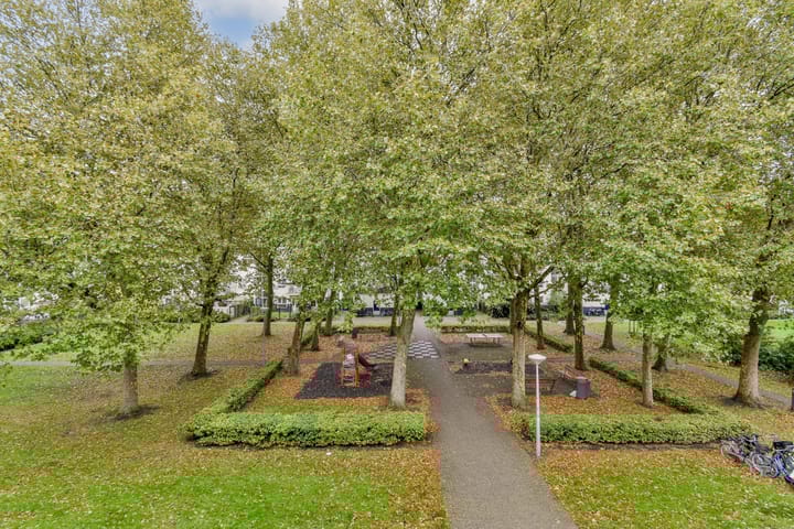 Foto 9 van Daniël Defoelaan 43