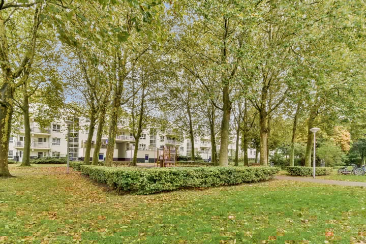 Foto 20 van Daniël Defoelaan 43