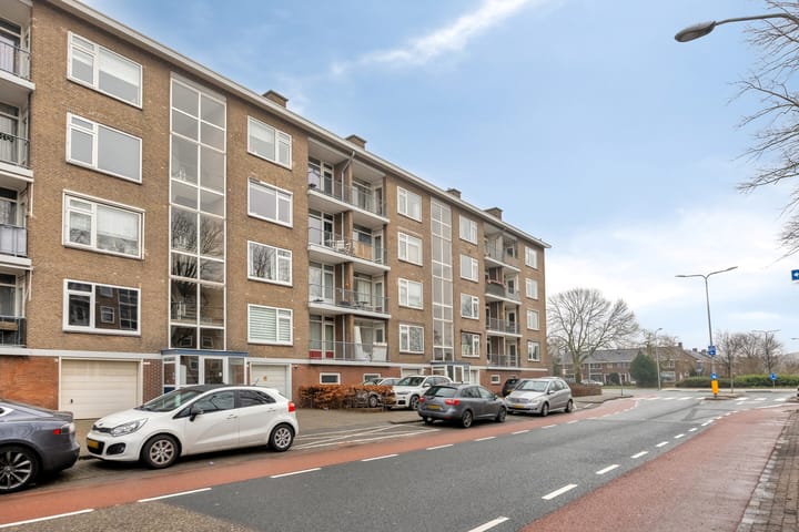 Foto 23 van Carel van Manderstraat 46