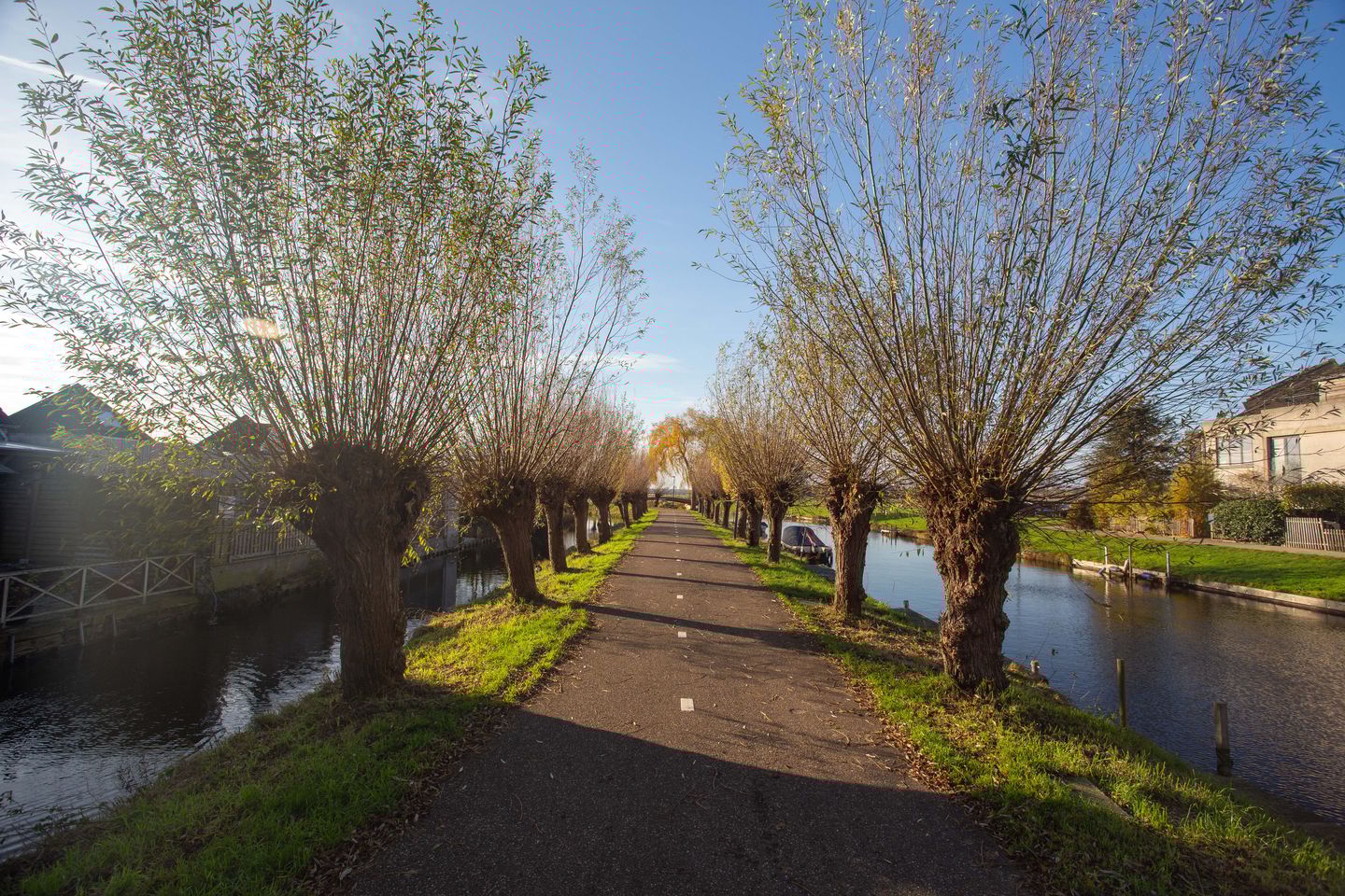 Foto 50 van Margaret Staalstraat 5