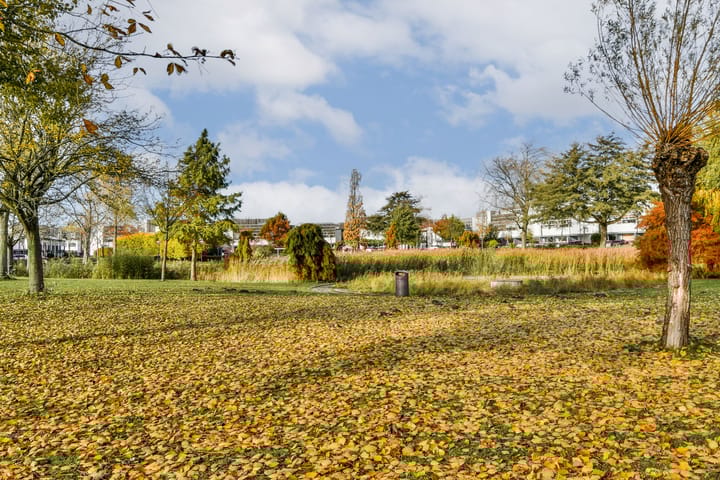 Foto 5 van Balatonmeerlaan 43