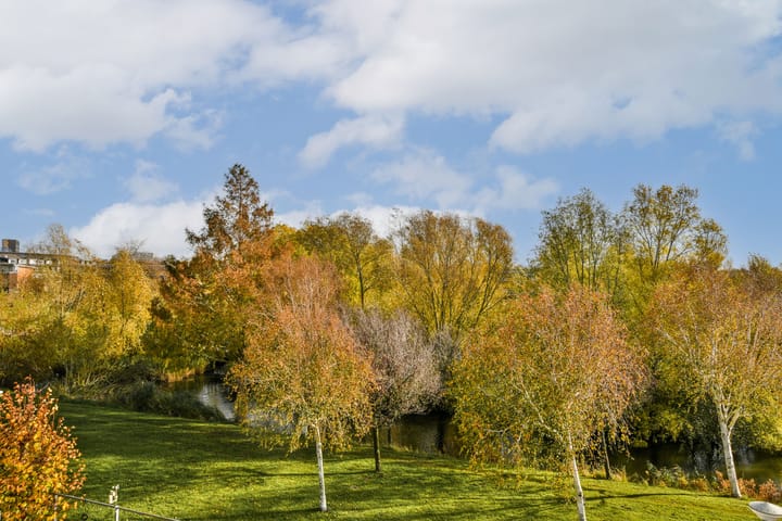 Foto 34 van Balatonmeerlaan 43