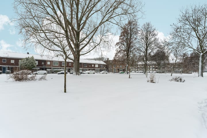 Foto 41 van Groene Weide 47