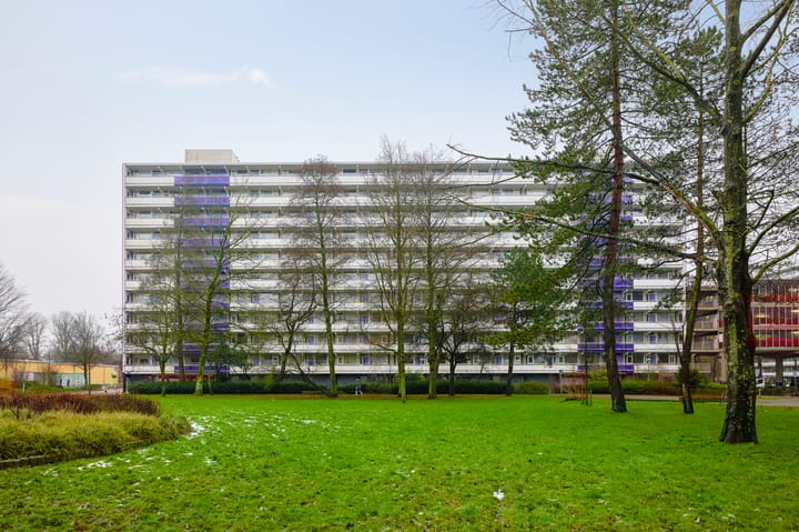 Foto 2 van Tjasker 4