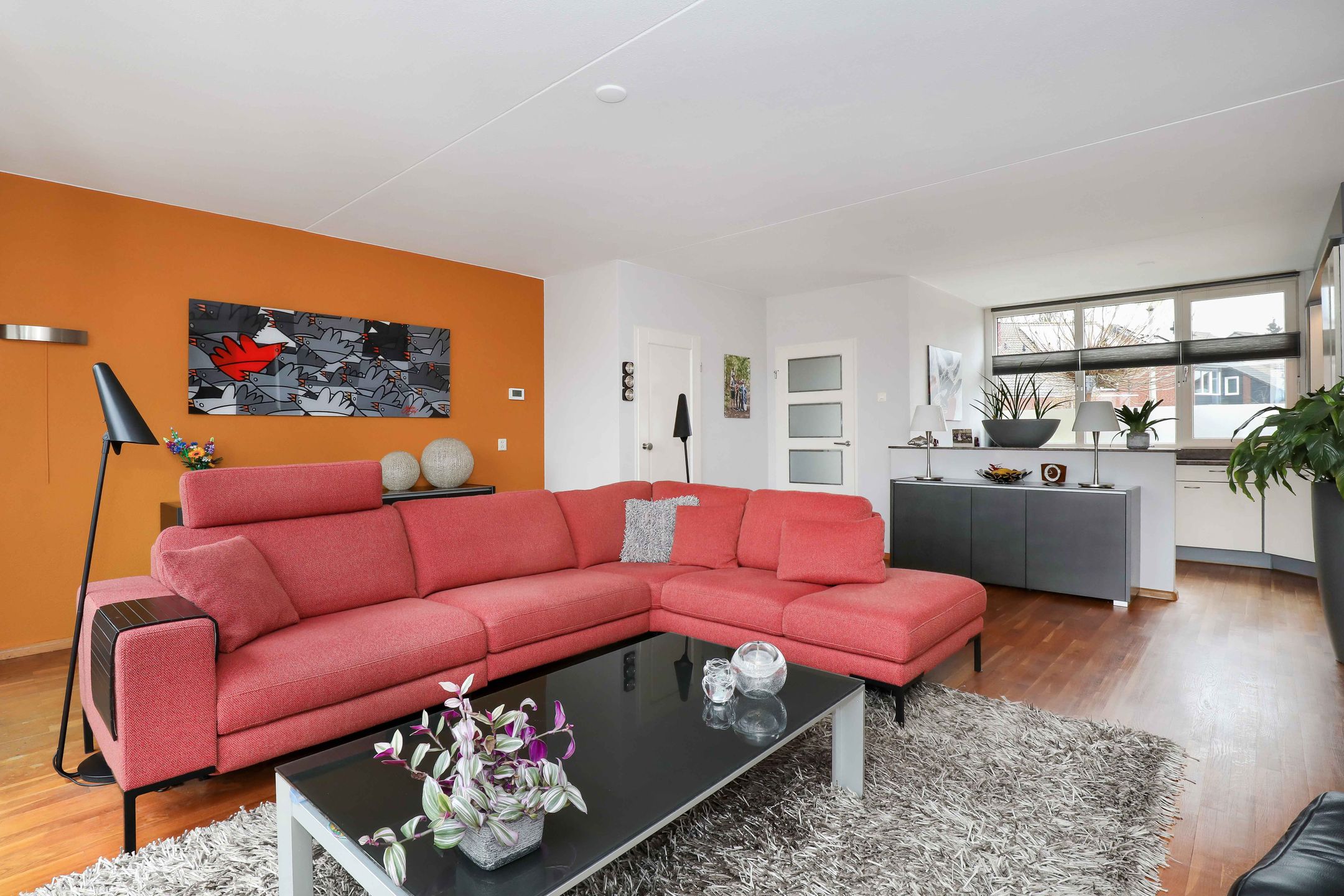 Photo 12 of Tolick 41