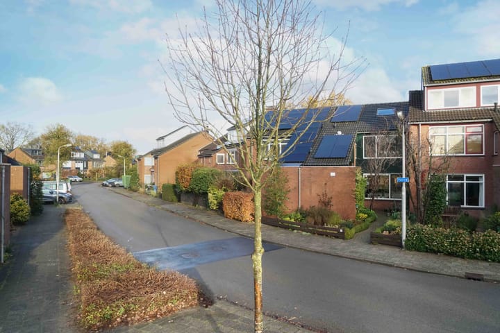 Foto 42 van Tolick 41