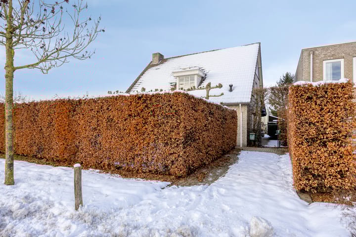 Foto 52 van Everbest 19