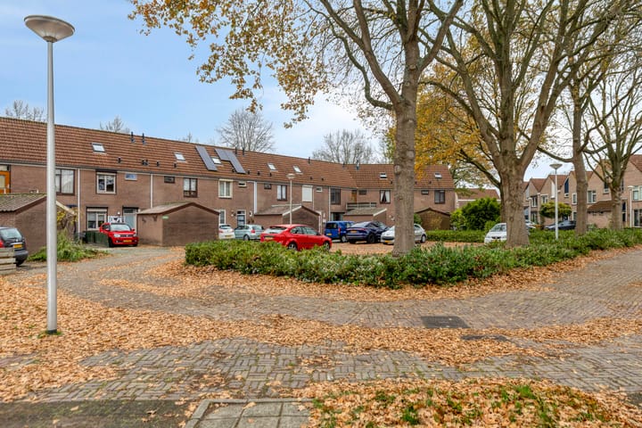 Foto 9 van de Eik 18