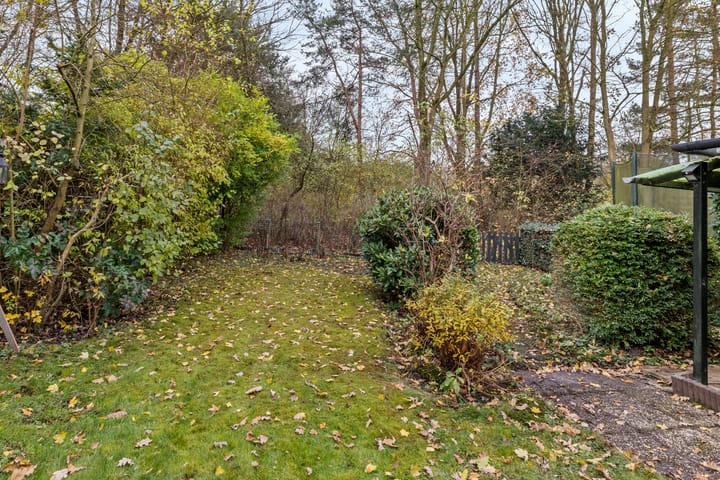 Foto 36 van Galerij 9