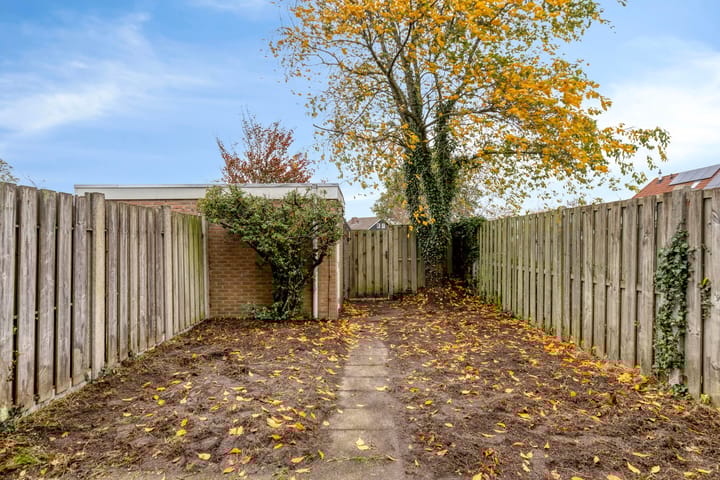 Foto 30 van de Eik 18