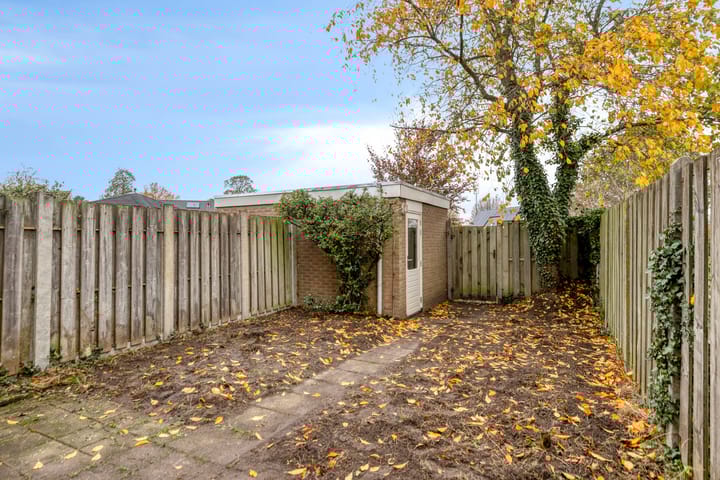 Foto 31 van de Eik 18