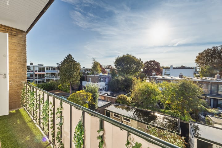 Foto 21 van van Ruysdaellaan 44