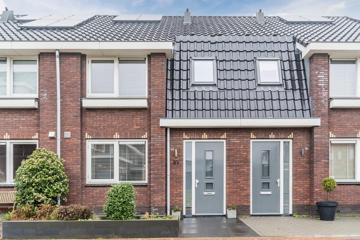 Foto 2 van Groenland 31