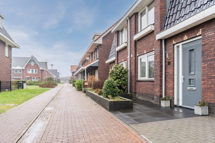 Foto 4 van Groenland 31