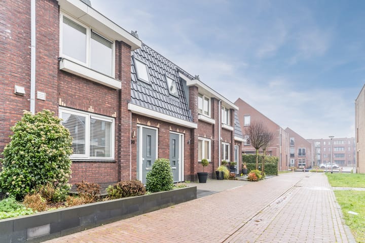 Foto 3 van Groenland 31