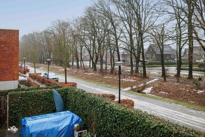 Foto 26 van Theda Mansholtstraat 2