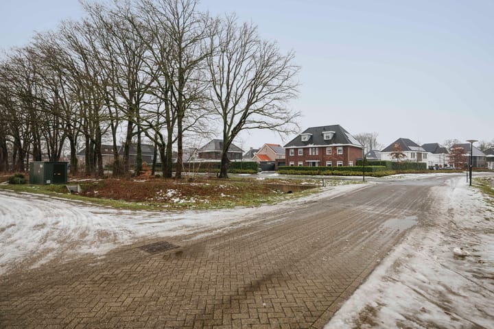 Foto 28 van Theda Mansholtstraat 2