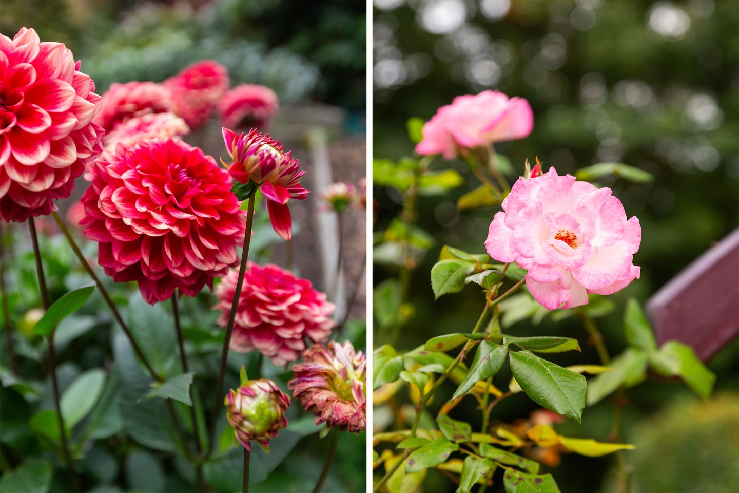 Foto 35 van Vinkseweg 15