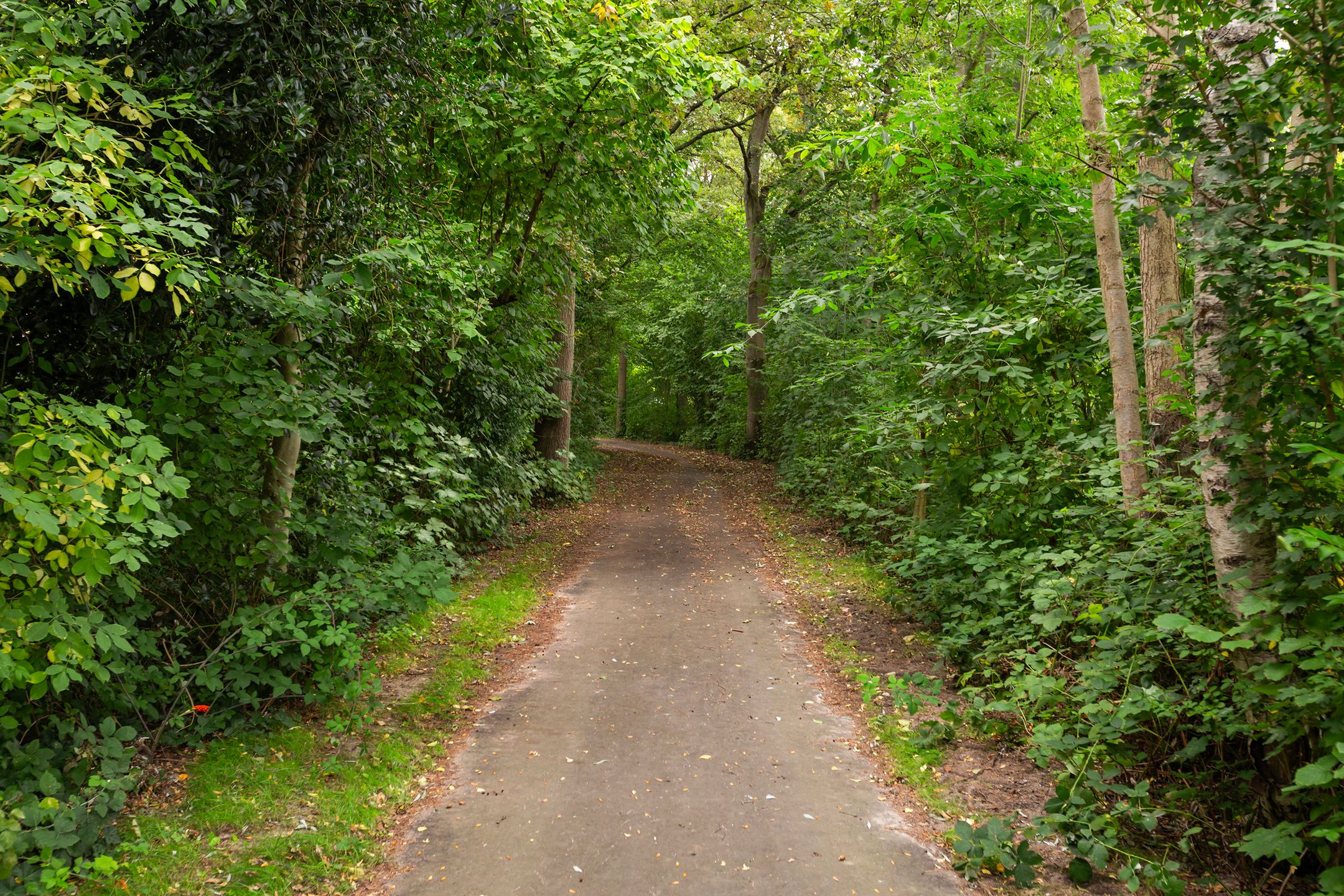 Foto 63 van Vinkseweg 15