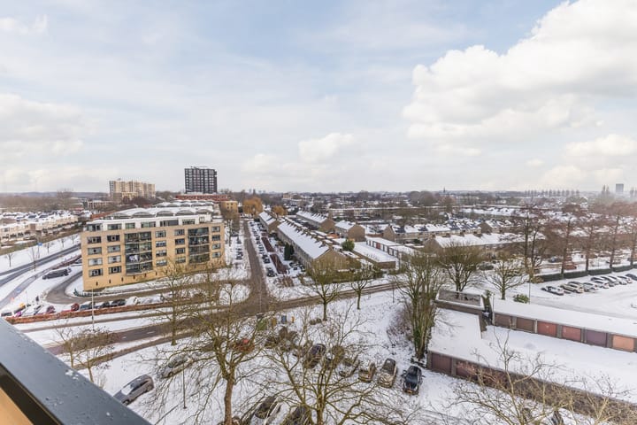 Photo 3 of Seringenplantsoen 553