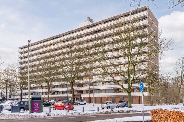 Seringenplantsoen 553 main image