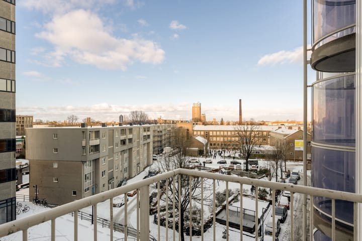 Foto 19 van Papegaaistraat 162