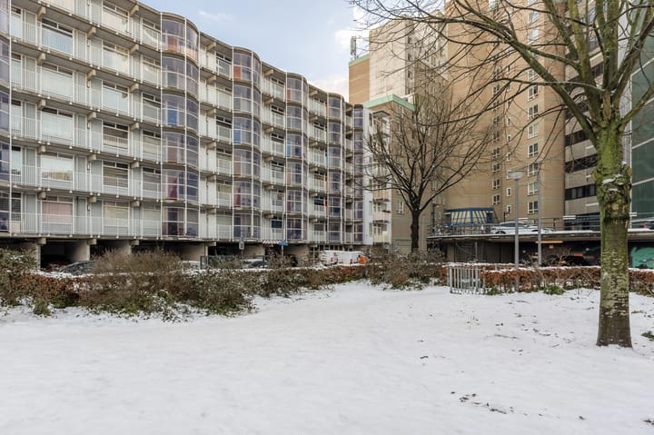 Foto 22 van Papegaaistraat 162