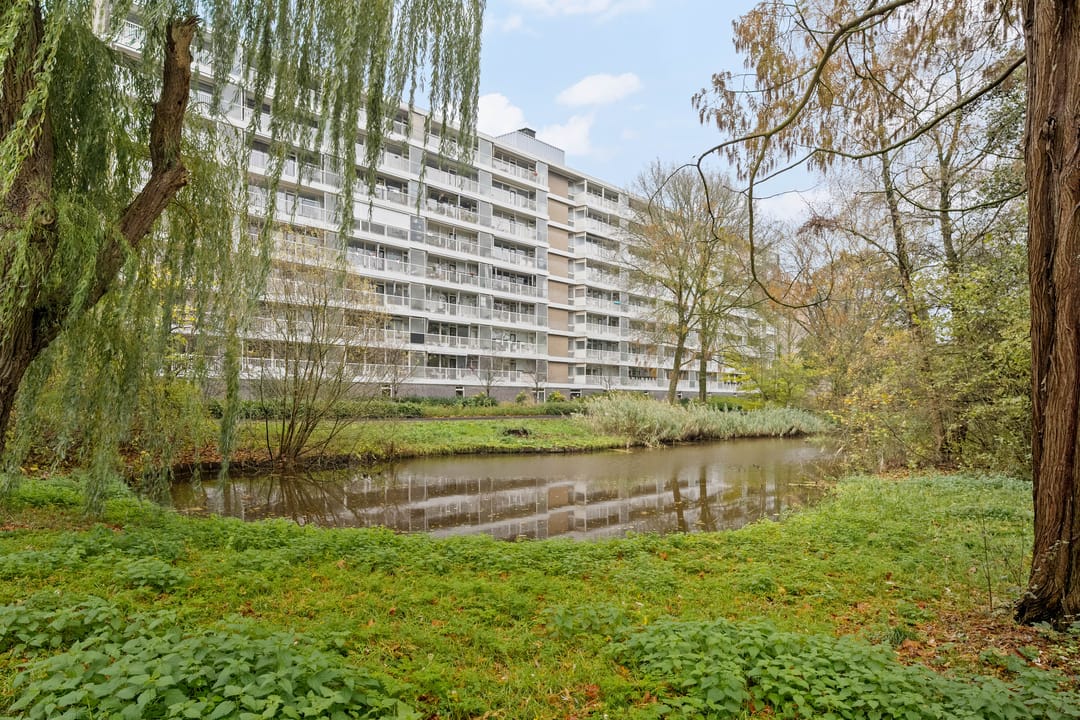 Foto 7 van Anatole Franceplaats 626