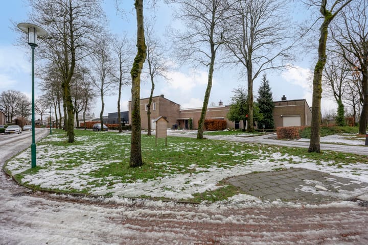 Foto 38 van Den Dries 7