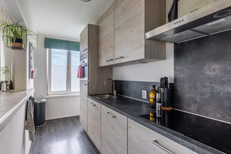 Sportparklaan 239 secondary image