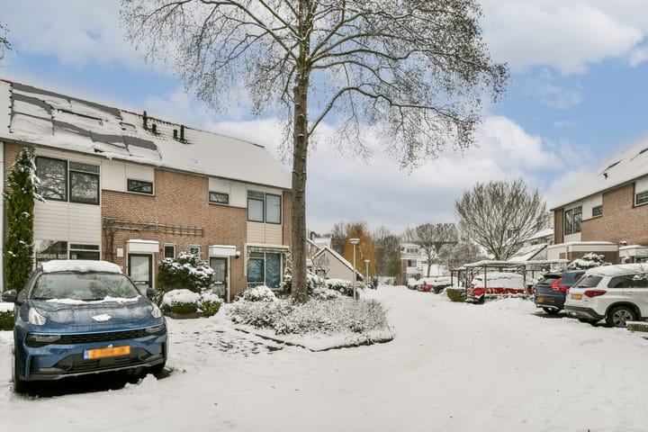 Foto 27 van Lantaarnopsteker 41