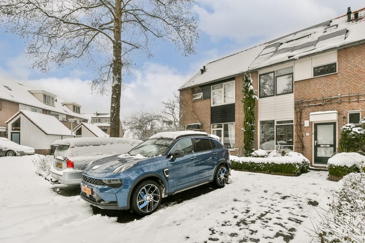 Foto 28 van Lantaarnopsteker 41