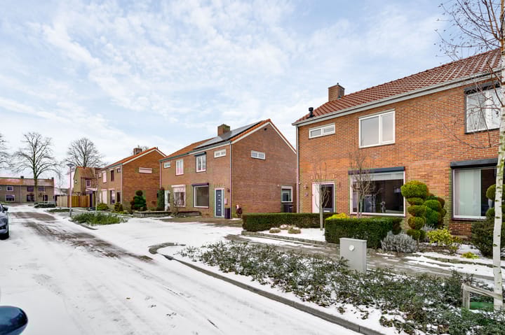 Foto 41 van Berkenlaan 9