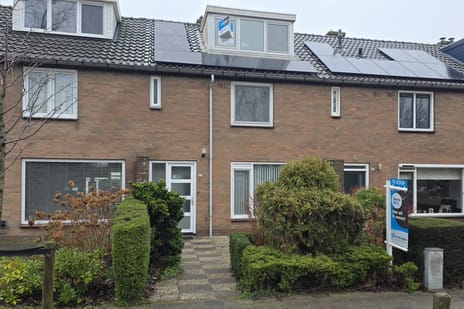 undefined main image