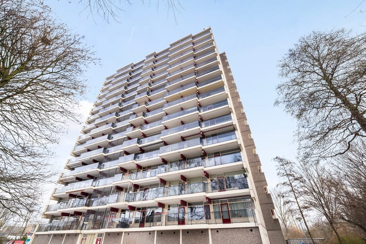 Foto 30 van Octant 53