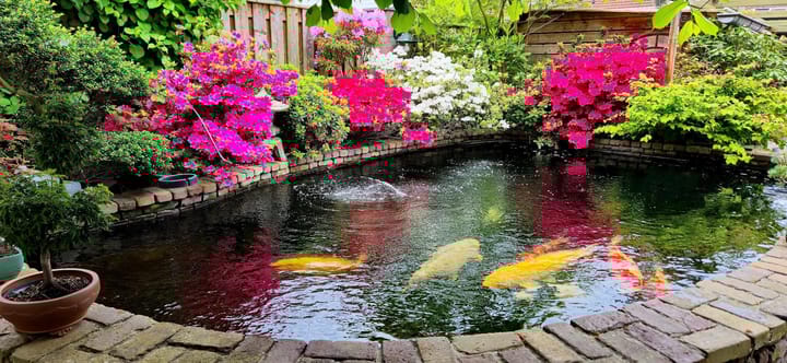 Foto 38 van Bergeraclaan 57