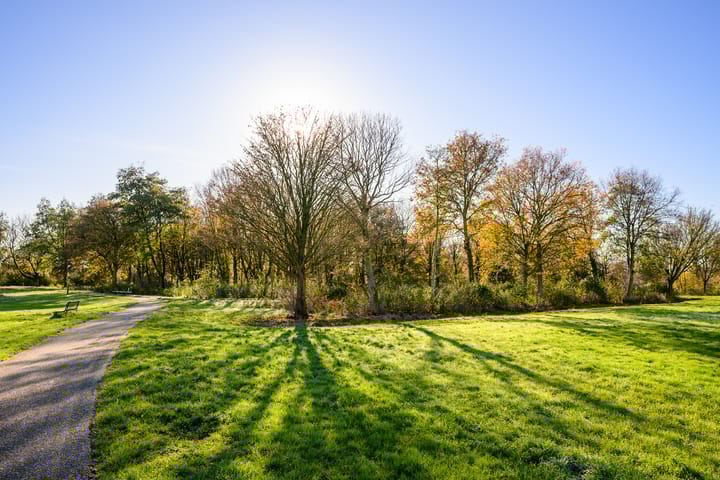 Foto 2 van J.T.P. Bijhouwerhof 65