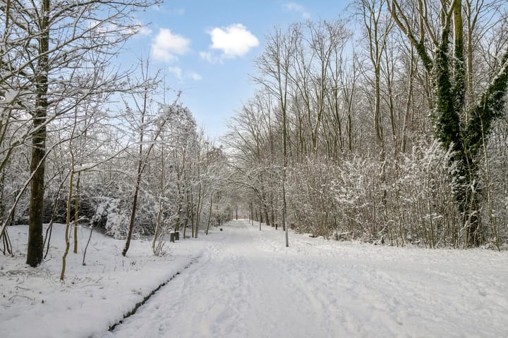 Foto 29 van Gouverneurstraat 21