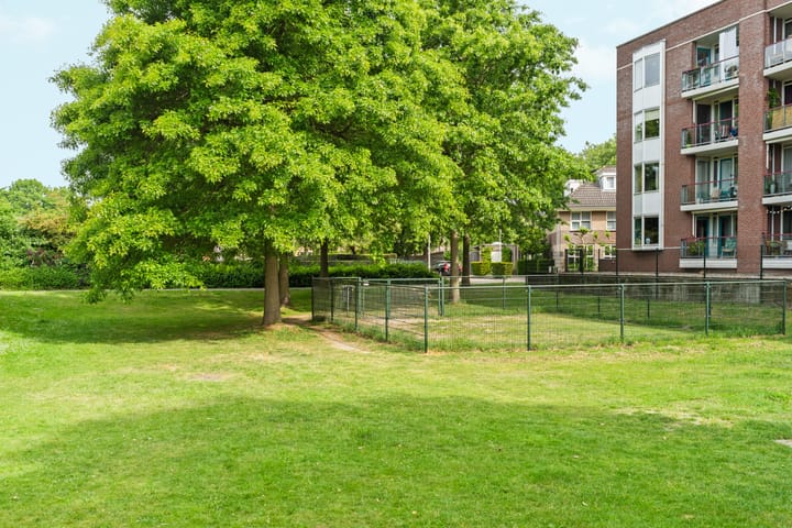 Foto 5 van Jan Brinkhoffplantsoen 30