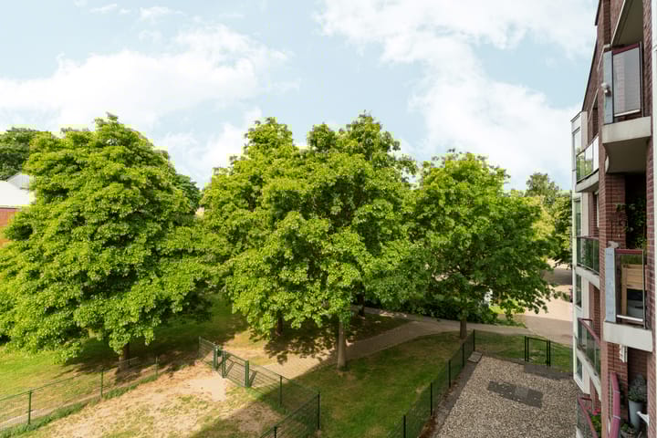 Foto 22 van Jan Brinkhoffplantsoen 30