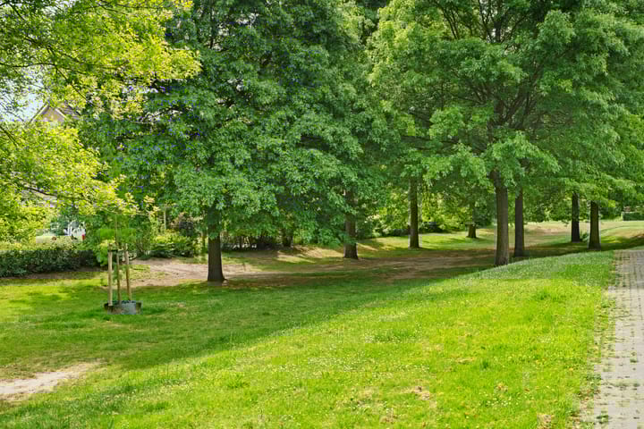 Foto 31 van Jan Brinkhoffplantsoen 30