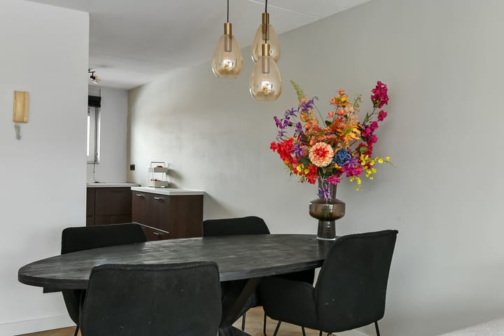 Foto 18 van Amalia van Solmsstraat 20