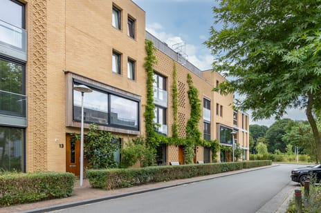 Lippizanerstraat thumbnail