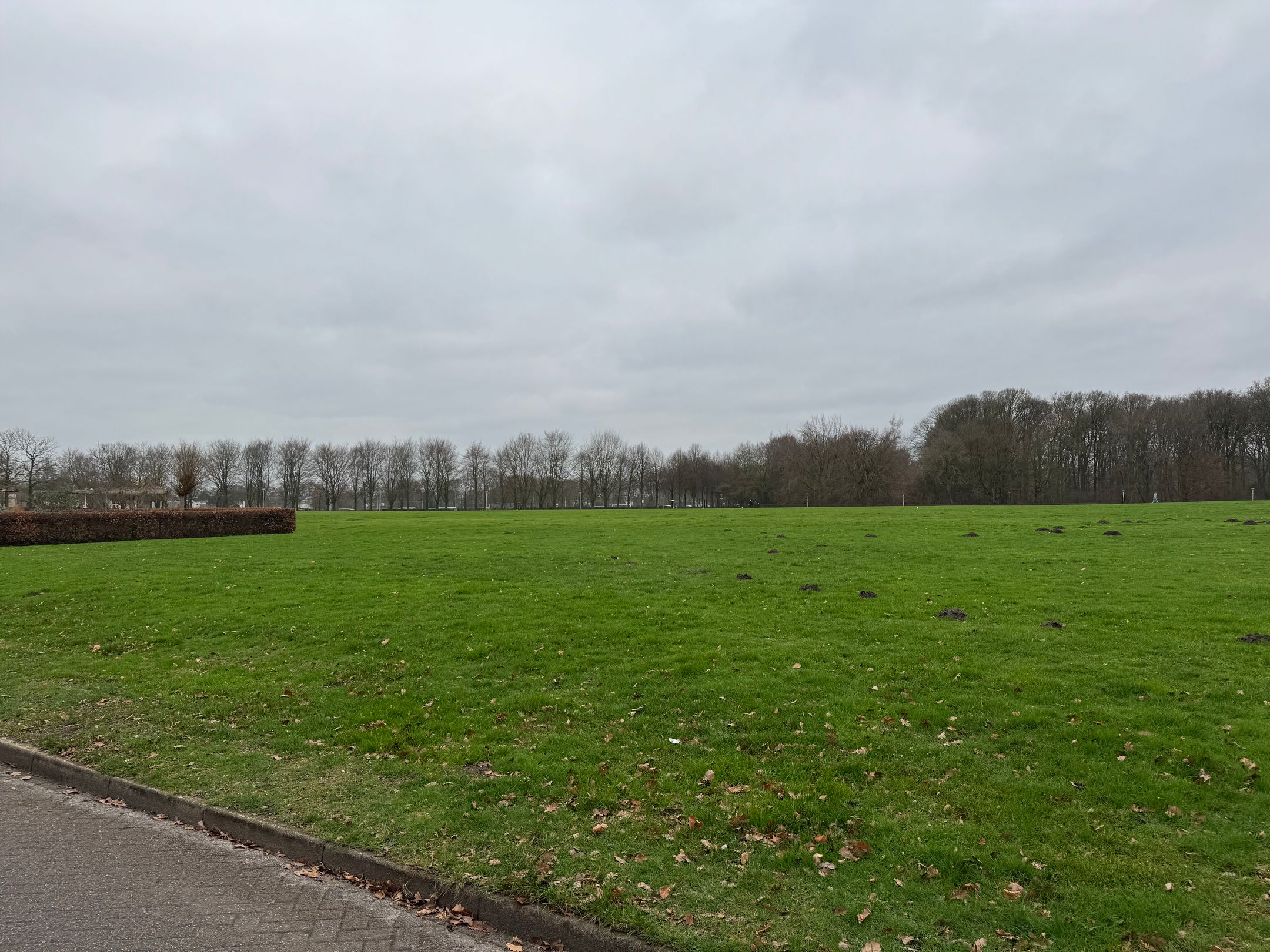 Foto 6 van Witte Wal 22