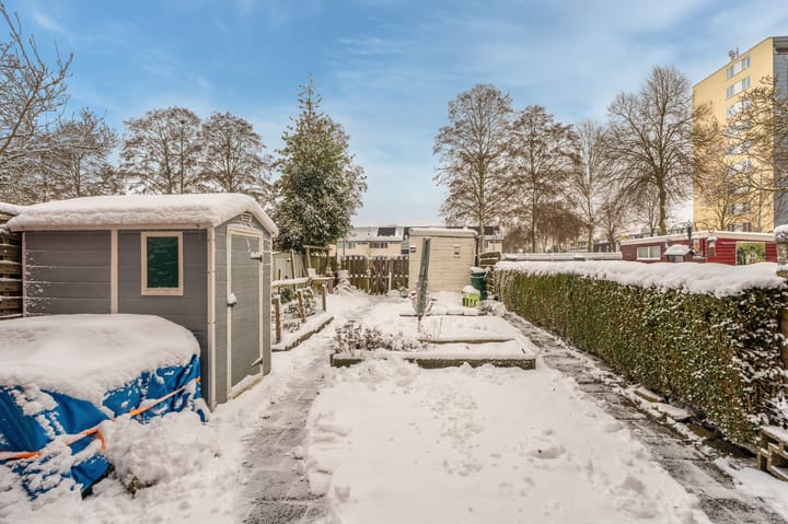 Foto 16 van Groen van Prinstererstr 14