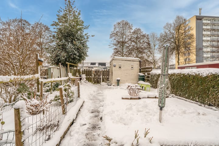 Foto 17 van Groen van Prinstererstr 14