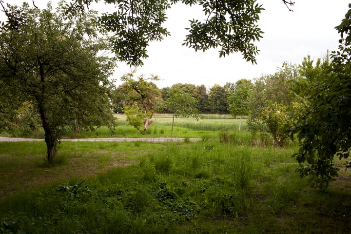 Foto 36 van Hoofdstraat 8