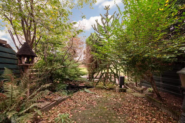 Foto 3 van King Olivereiland 40