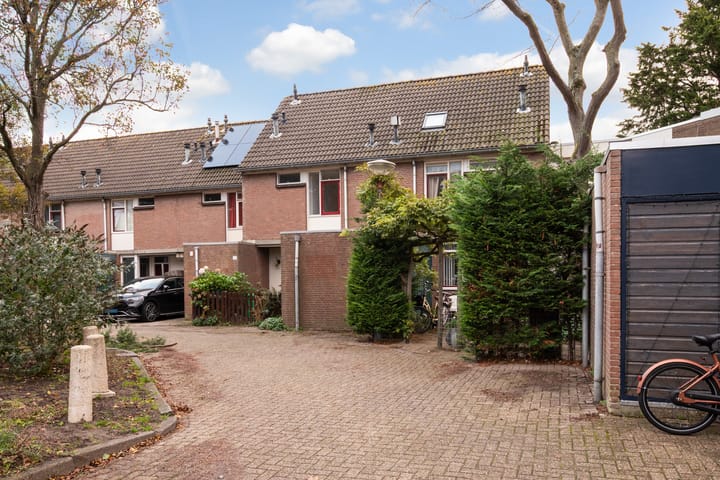 Foto 6 van King Olivereiland 40